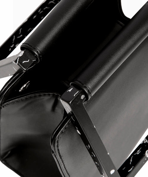 Amaryllis Black 2