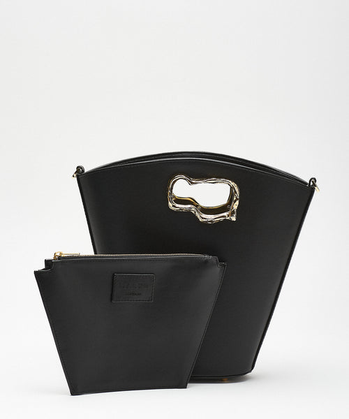 Cassiopeia Black